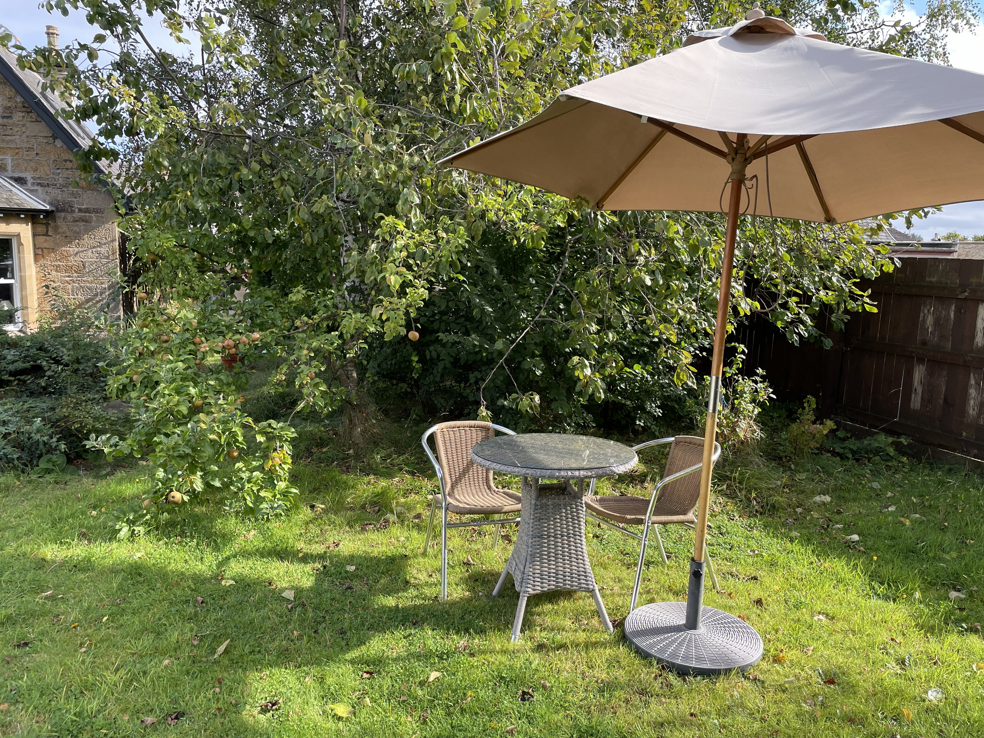Garden with seating and apple tree
